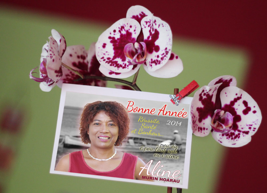 Aline Murin Hoarau : Bonne Année 2014 Aline Murin Hoarau : Bonne Année 2014