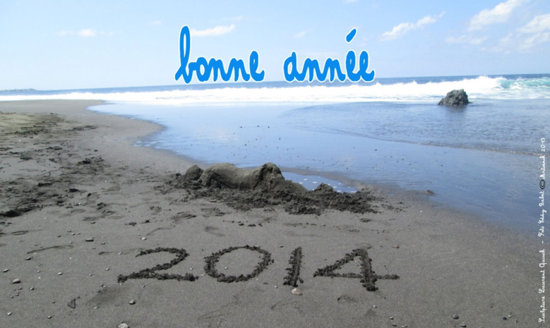 Artsenik : Bonne Année Artsenik : Bonne Année