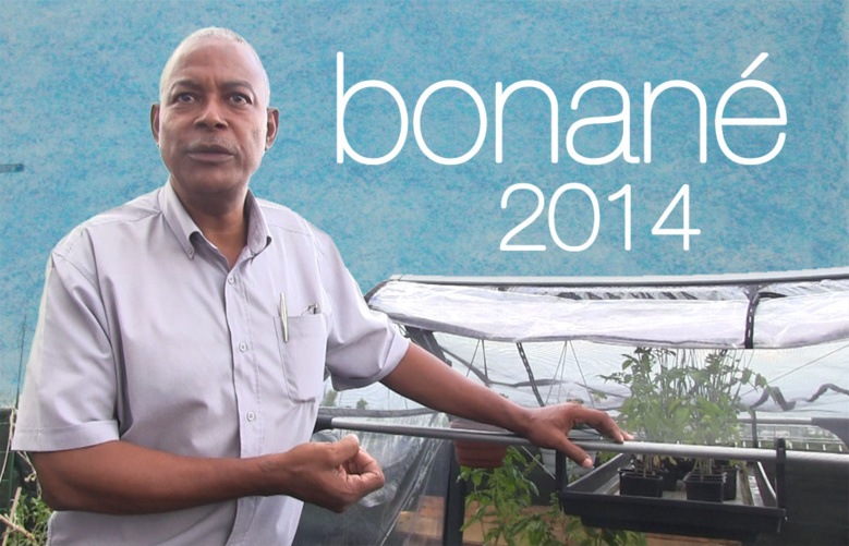 Daniel Médéa : BONANÉ 2014