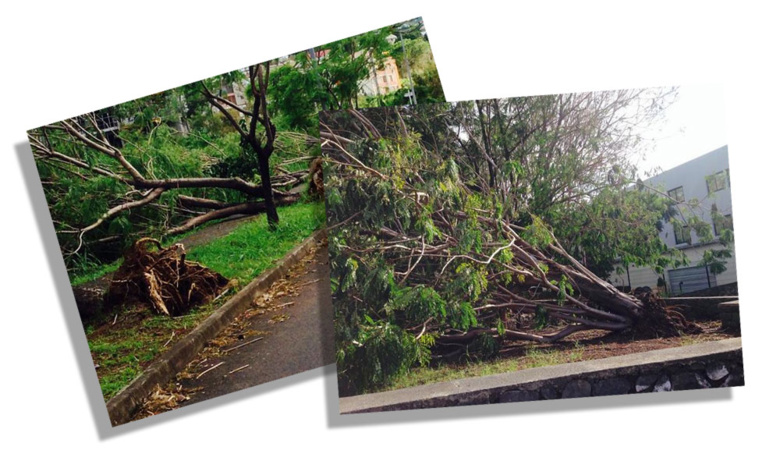 Margarette Robert Mucy : Et la réactivité alors !