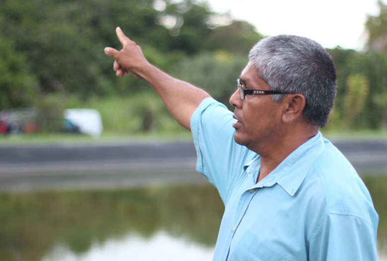 Hervé Sinama, producteur à Sainte-Suzanne Hervé Sinama, producteur à Sainte-Suzanne