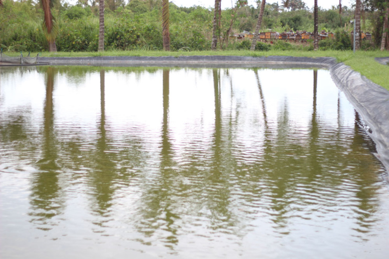 Des bassins vides Des bassins vides