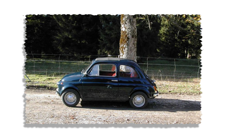 Créole, on t’a cONFisqué ta forêt... Créole, on t’a cONFisqué ta forêt...