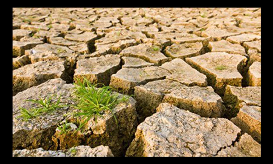 LES FORTES CHALEURS DE LA COLERE LES FORTES CHALEURS DE LA COLERE