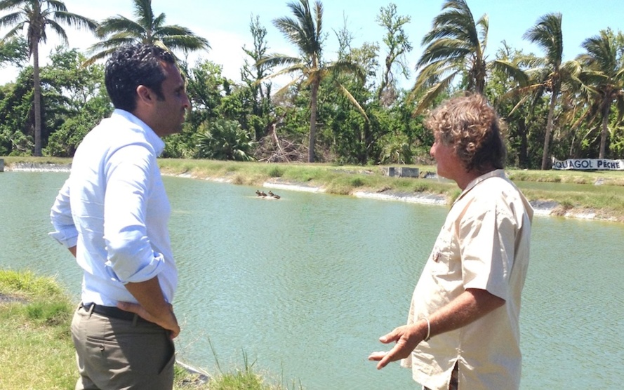 Sacrifice de la filière aquacole : que fait la Mairie de l’Etang-Salé ?