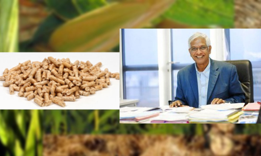 Serge Camatchy : Le projet Biomasse Serge Camatchy : Le projet Biomasse