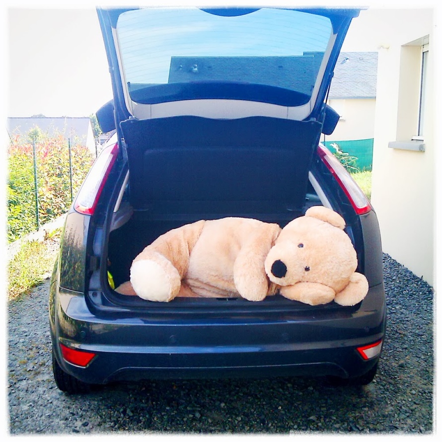 Qui sont les responsables des malheurs de Rose ? Qui sont les responsables des malheurs de Rose ?