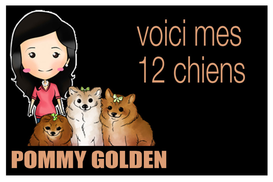 Une électrice métropolitaine en colère et non influençable Une électrice métropolitaine en colère et non influençable