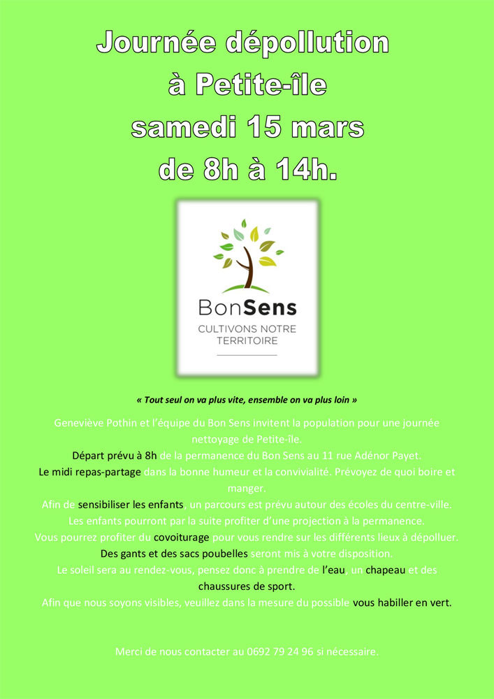 Petite île : Le bon sens