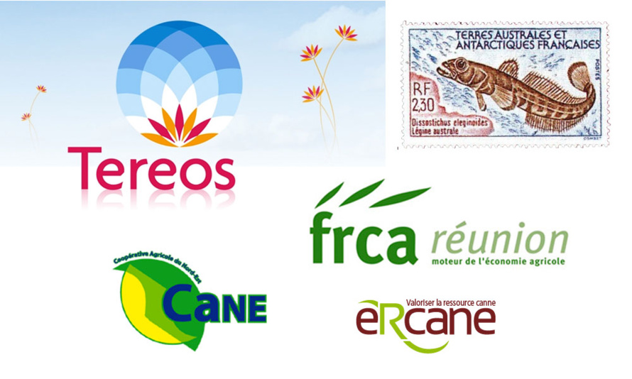 Audrey de Fondaumière, une militante du bio ou de pêche avenir pas très écolo ni très renseignée Audrey de Fondaumière, une militante du bio ou de pêche avenir pas très écolo ni très renseignée