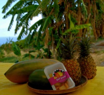 Bel'Anse, une innovation 100% locale issue de l'incubateur de la Technopole de La Réunion Bel'Anse, une innovation 100% locale issue de l'incubateur de la Technopole de La Réunion