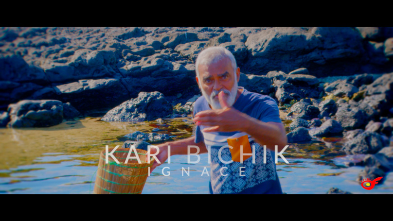 La semaine de la musique La semaine de la musique