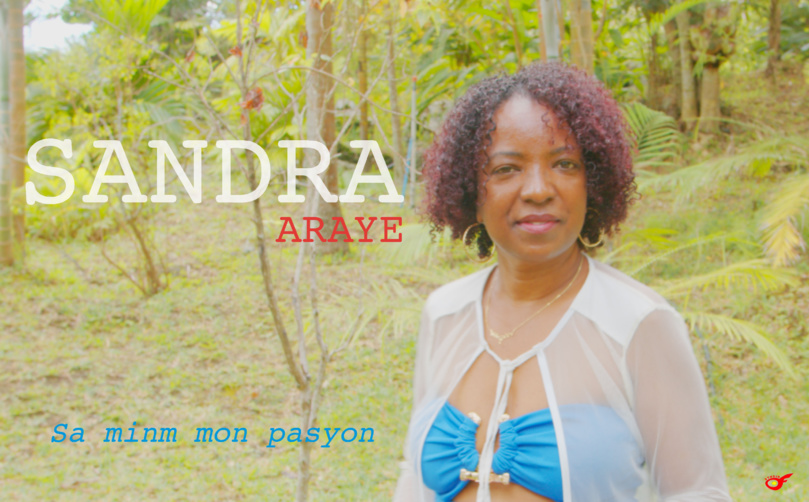 La semaine de la musique La semaine de la musique