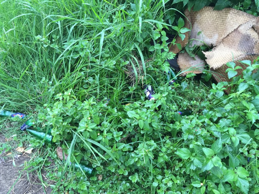 HONTE AUX ELUS DE SAINT-ANDRE ! HONTE AUX ELUS DE SAINT-ANDRE !