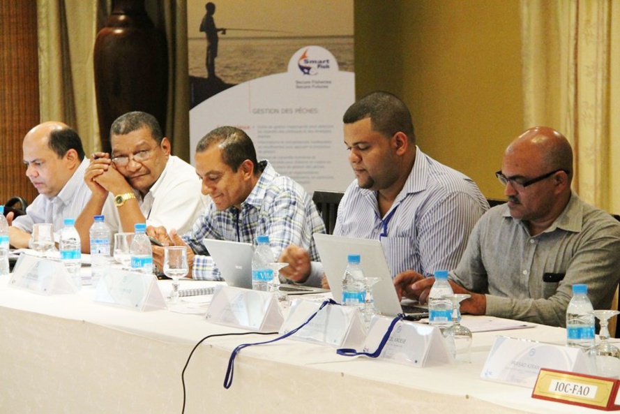 La COI renouvelle sa stratégie régionale des pêches et de l’aquaculture pour 2015-2020 La COI renouvelle sa stratégie régionale des pêches et de l’aquaculture pour 2015-2020