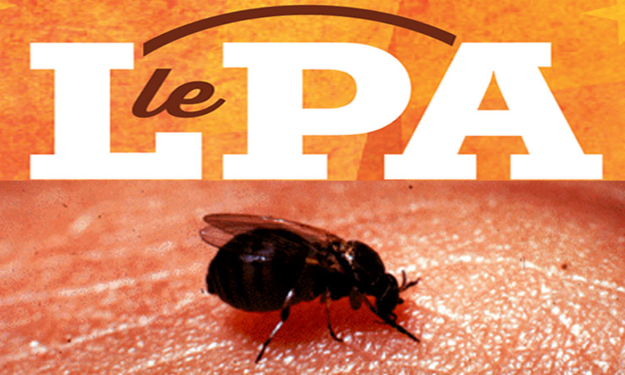 Le Parti de Thierry Robert à l'assaut des mouches noires Le Parti de Thierry Robert à l'assaut des mouches noires