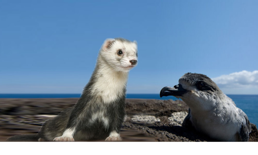 jean-pierre espéret : Ecolos muets ? jean-pierre espéret : Ecolos muets ?