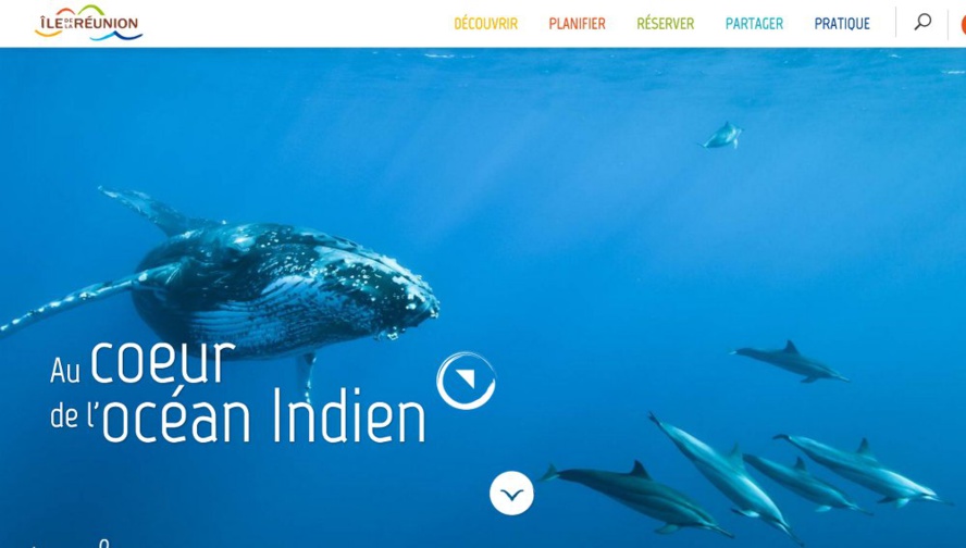 Le salaud lumineux… de l’IRT Le salaud lumineux… de l’IRT