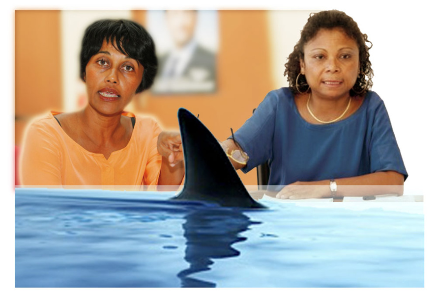 Crise requin : mais elles sont où nos députées Bareigts et Orphée ?
