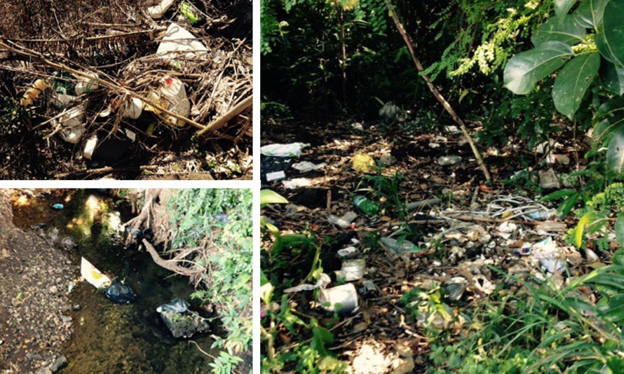 La cascade Niagara, un si beau site qui n'est pas mis en valeur La cascade Niagara, un si beau site qui n'est pas mis en valeur
