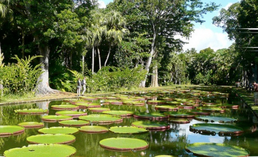 Les nouvelles technologies au service des herbiers Les nouvelles technologies au service des herbiers