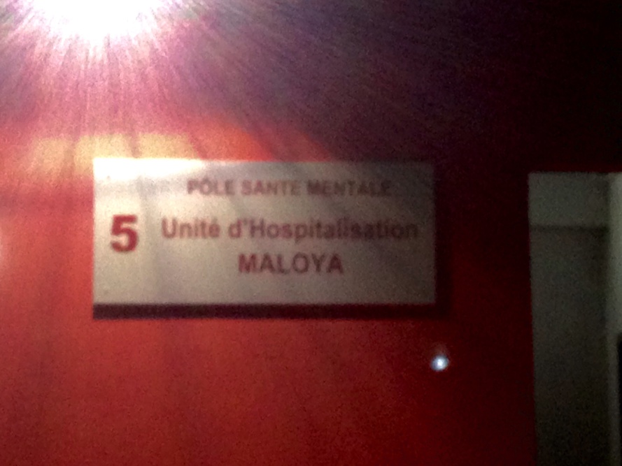 A qui appartient la mémoire des fous ? A qui appartient la mémoire des fous ?