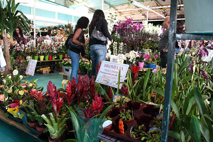 FLORE ET HALLE EDITION 2015 FLORE ET HALLE EDITION 2015