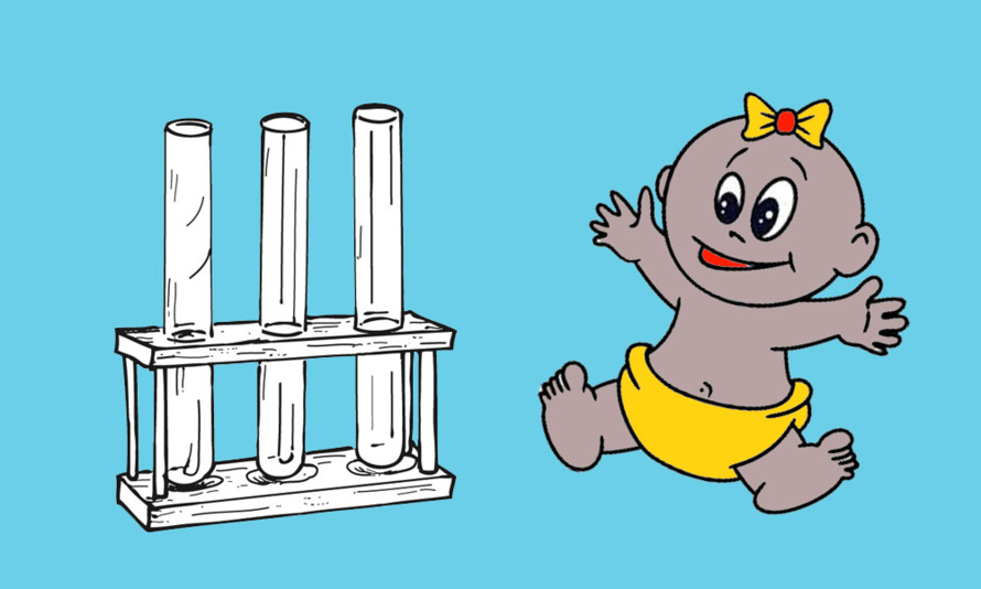 Le flaperon de Saint-André et le bébé-éprouvette Le flaperon de Saint-André et le bébé-éprouvette