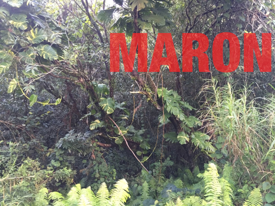 ALERTE : Les Éditions SURYA entrent en marronnage. ALERTE : Les Éditions SURYA entrent en marronnage.