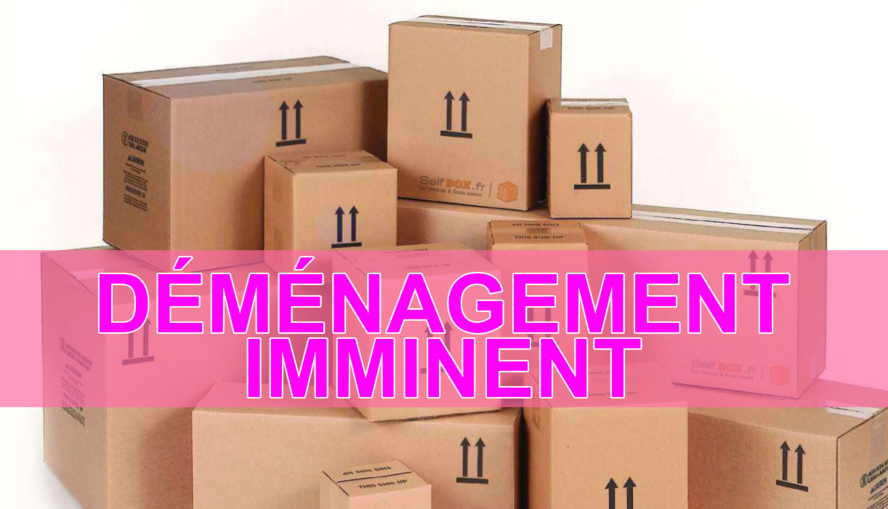 Joseph SINIMALÉ : le grand gagnant des Régionales Joseph SINIMALÉ : le grand gagnant des Régionales