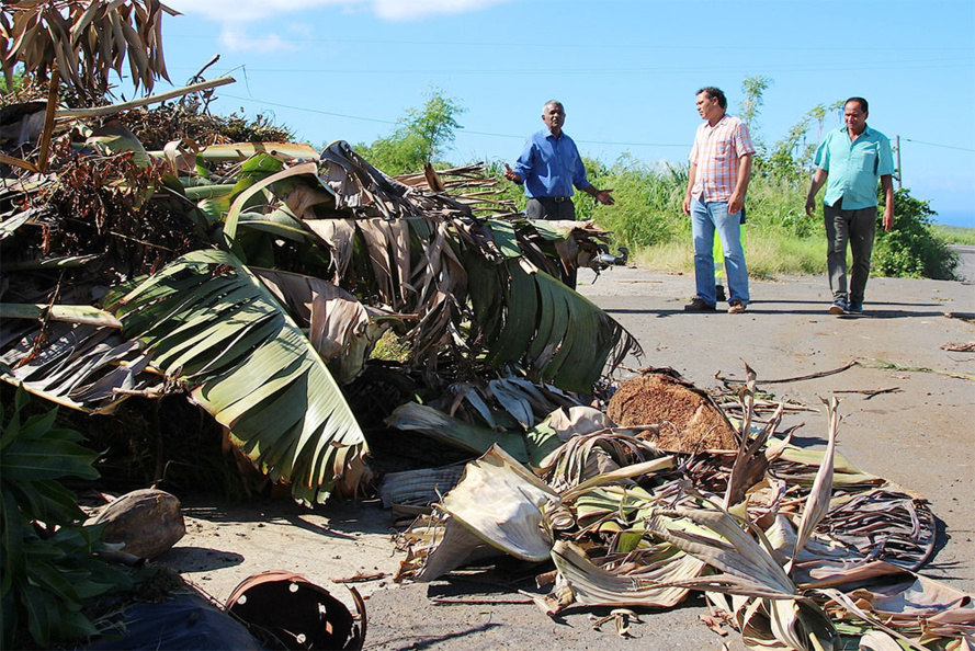 Joseph SINIMALÉ : Saint-Paul ville propre Joseph SINIMALÉ : Saint-Paul ville propre