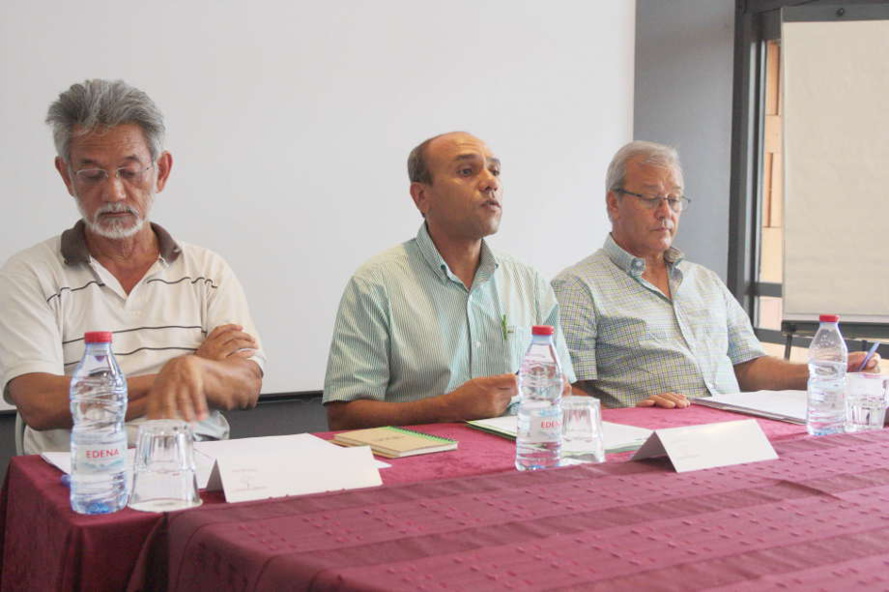 La nomination d’Ericka Bareigts au nouveau gouvernement Valls emporte peu d’adhésion La nomination d’Ericka Bareigts au nouveau gouvernement Valls emporte peu d’adhésion