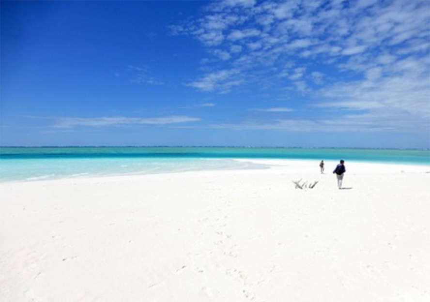Encore 10 places pour qui veut visiter les îles Eparses…