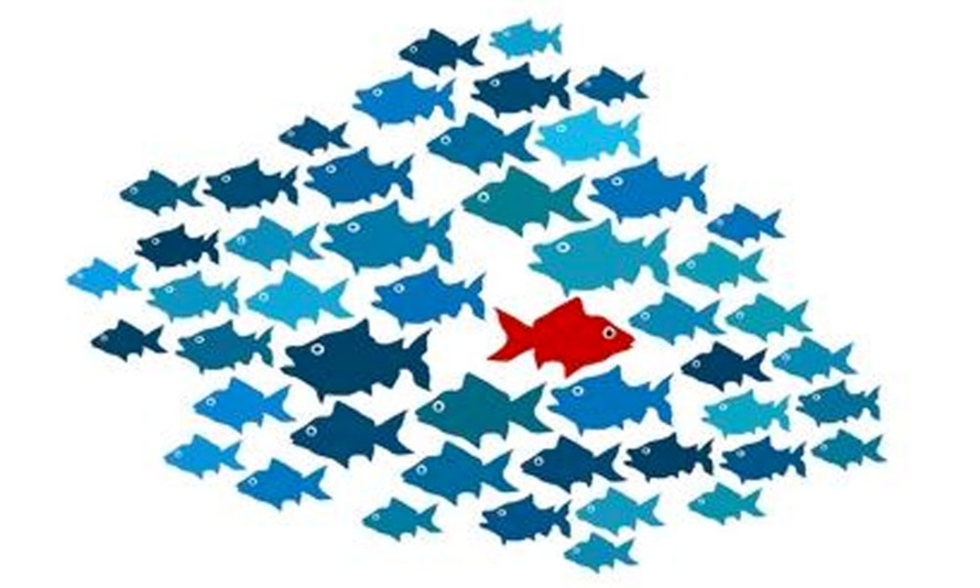 En cette journée mondiale de sensibilisation à l’autisme En cette journée mondiale de sensibilisation à l’autisme