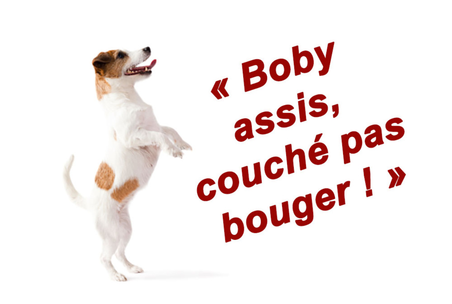 ​LES INDIGNES