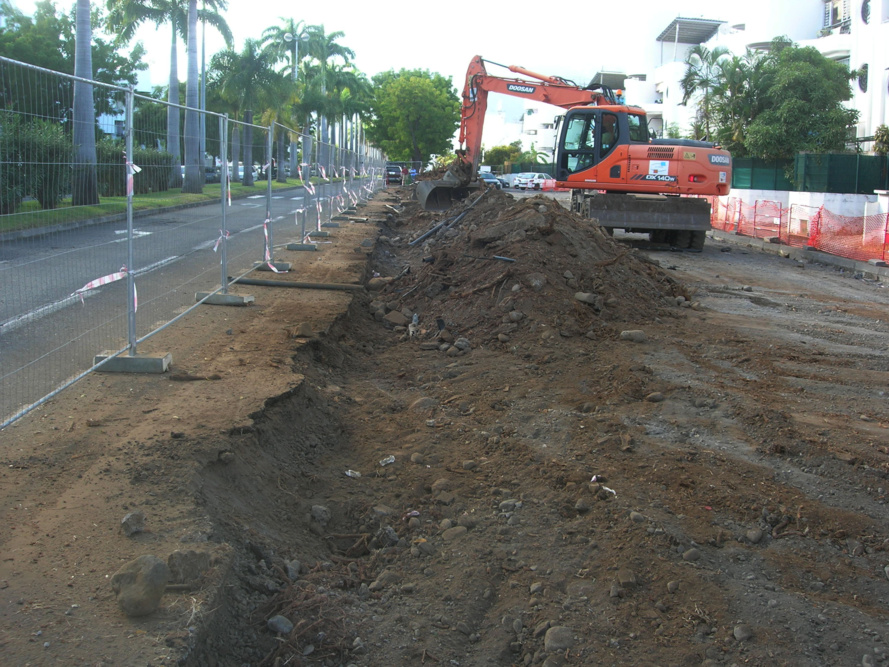 Peut-on encore sauver les lilas d'Inde (neem-trees) du Port ? Peut-on encore sauver les lilas d'Inde (neem-trees) du Port ?