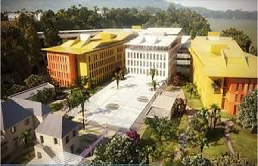 Métamorphose de la chenille en « hôpital papillon » ! Métamorphose de la chenille en « hôpital papillon » !