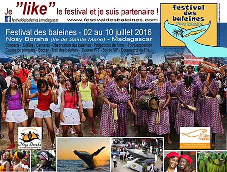 La baleine a sa journée ! La baleine a sa journée !