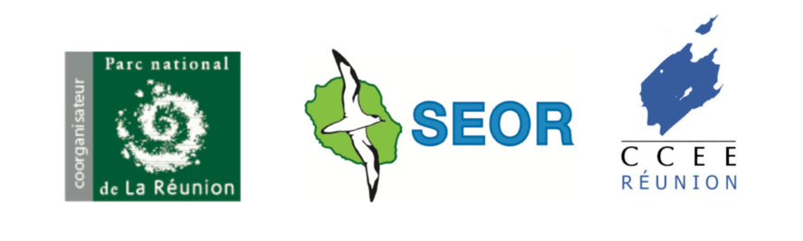 Les Nuits sans Lumière : Le bilan 2016 Les Nuits sans Lumière : Le bilan 2016