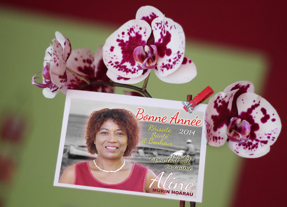Aline Murin Hoarau : Bonne Année 2014