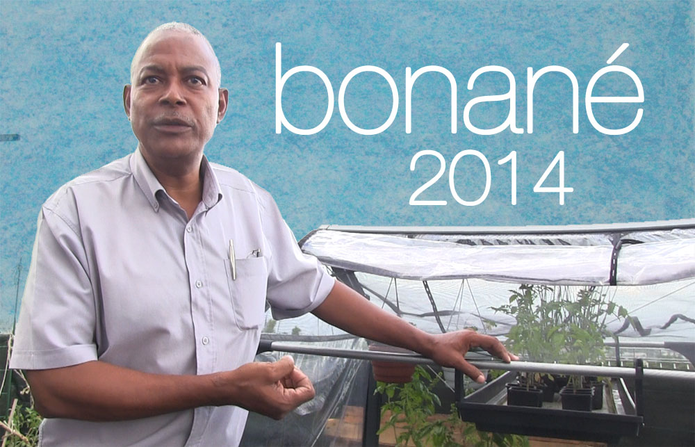 Daniel Médéa : BONANÉ 2014