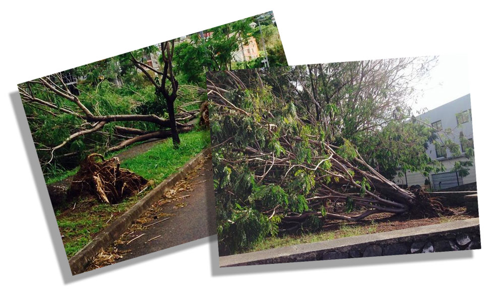 Margarette Robert Mucy : Et la réactivité alors !