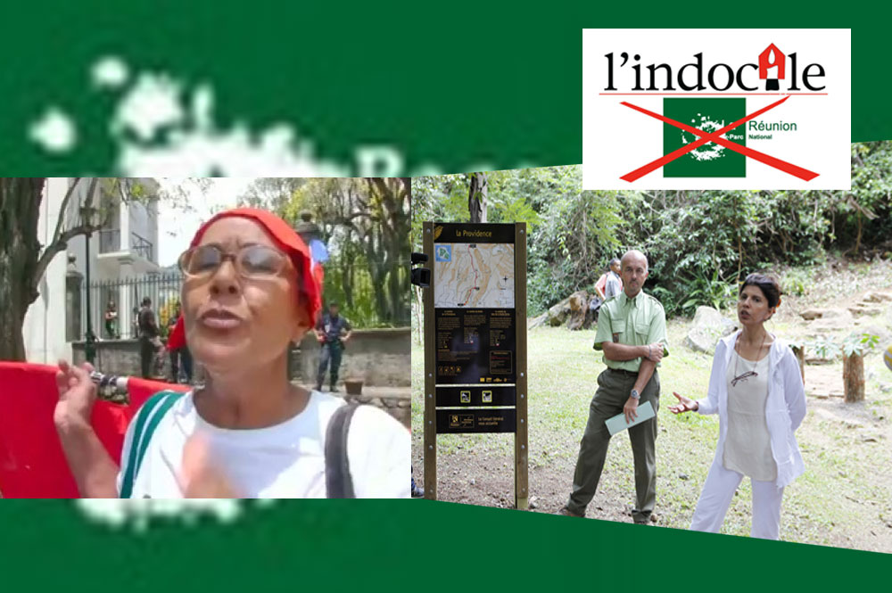 Cmac : Conseil général et ONF complices du démantèlement des aires de piques des Réunionnais