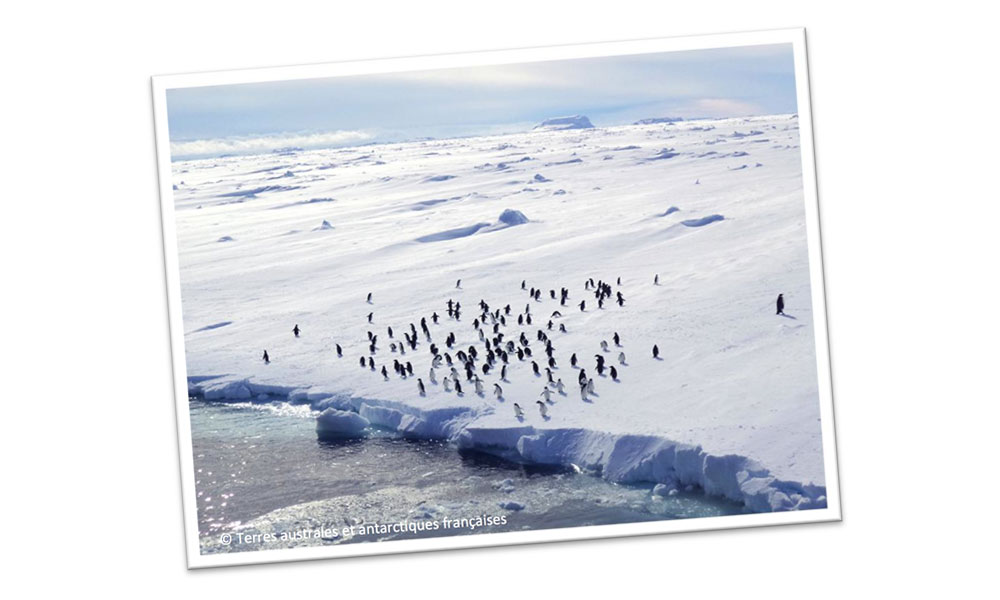 TAAF : 10 000 € d'amende pour monsieur G., ressortissant français