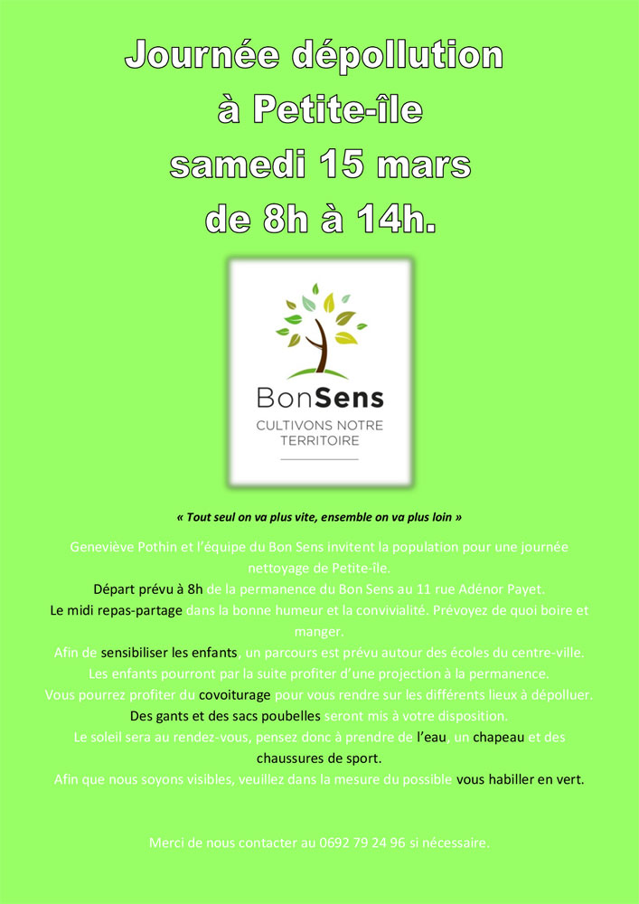 Petite île : Le bon sens