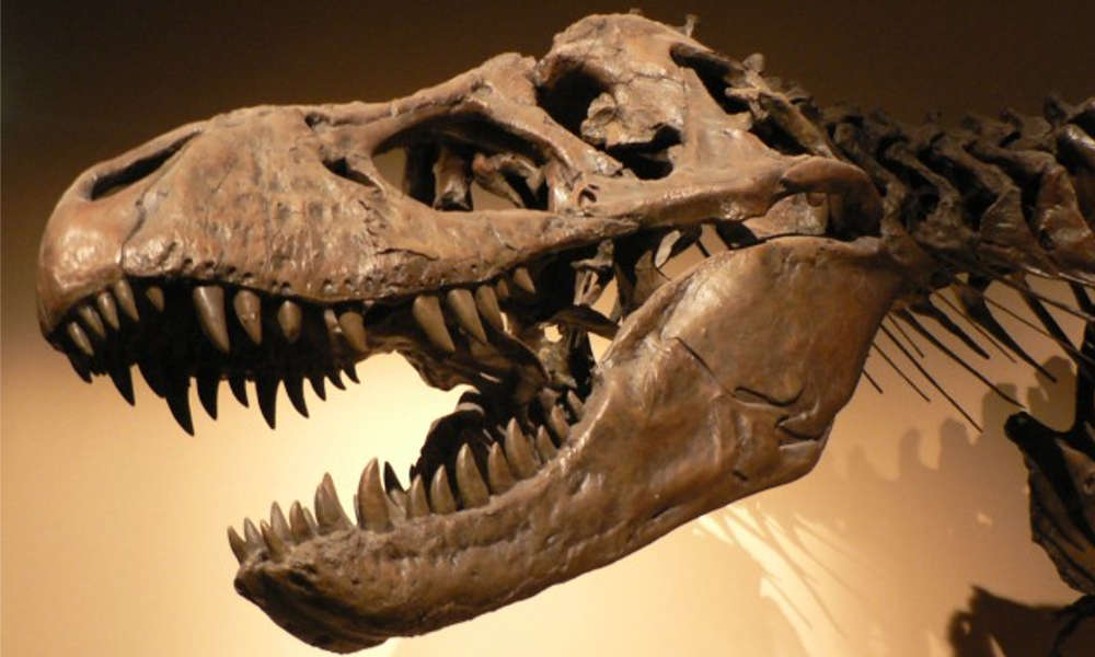 Un fumet de pourriture plane sur la République…