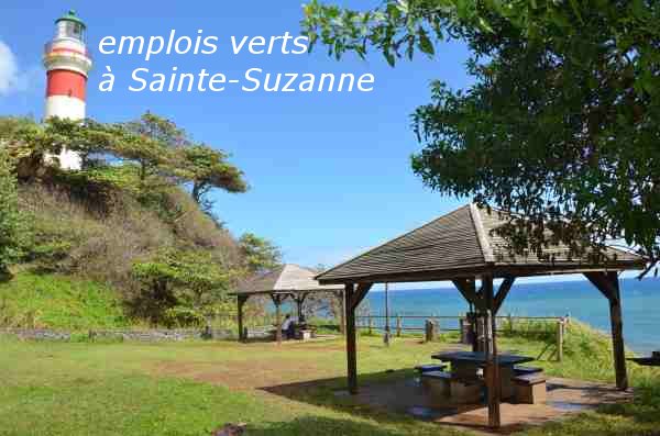 ​Didier Robert au secours de l’emploi à Sainte-Suzanne