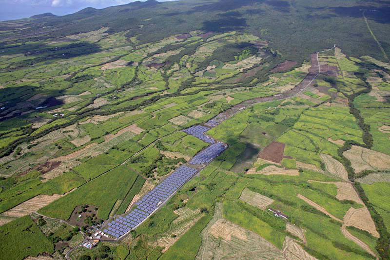 LE MONDE AGRICOLE A LA REUNION