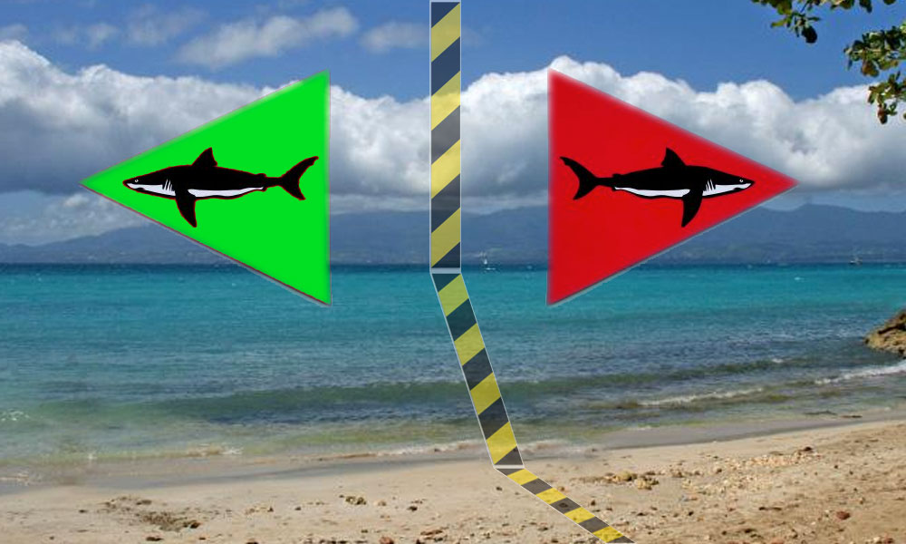 Plages : Avec ou Sans Requin ?