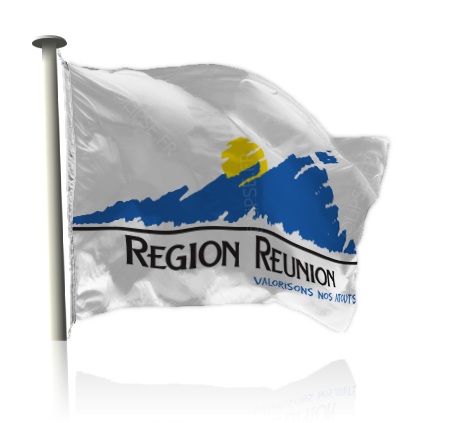 Région Réunion : Les charges, responsabilités et indemnités des élus dans le respect de la loi